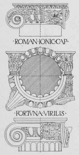Classic Roman Ionic Development And Use Of The Ord 0800167