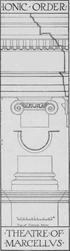 Classic Roman Ionic Development And Use Of The Ord 0800168