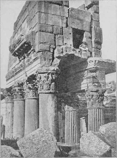 Corinthian Columns. From the Temple of Jupiter, Baalbec, Syria