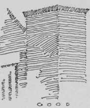Rendering In Pen And Ink Examination Plates 0800258