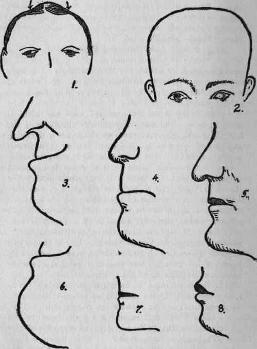 Illustration No. 39. Character Chart General Shape of Head, Mouth, Lips and Chin