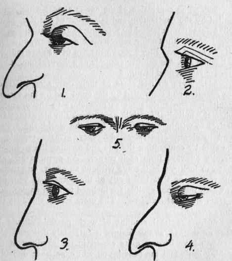 Illustration No. 41. Character Chart   Eyes