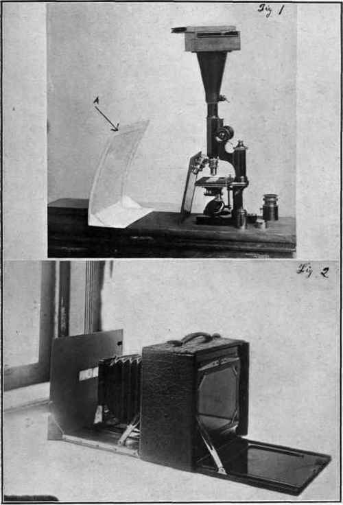 Photo Micrography 0900136