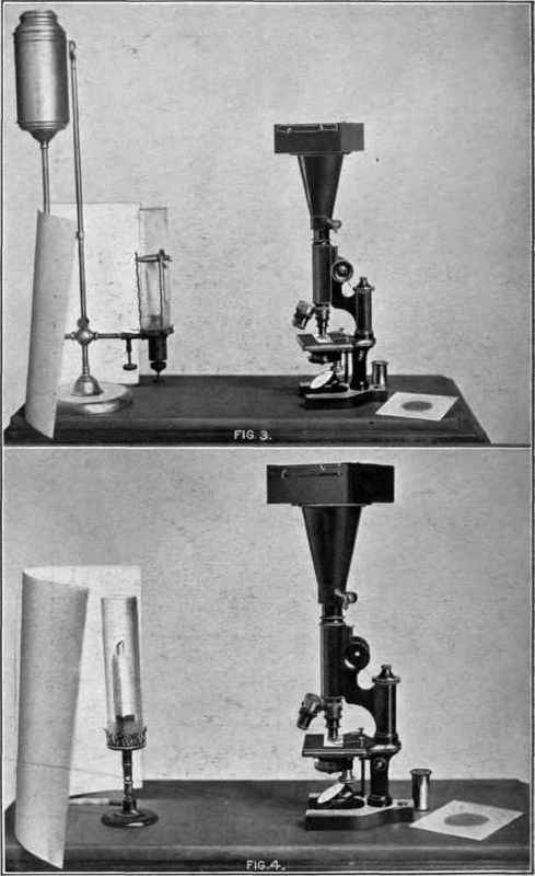 Photo Micrography 0900137