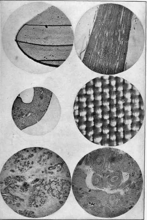 Photo Micrography Practical Manipulations For The  0900142