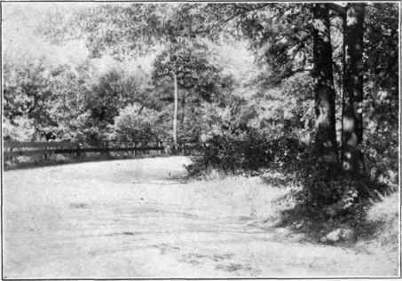 Illustration No. 35Print from Over Exposed Though Correctly Developed Negative