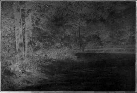 Illustration No. 36A Correctly Developed, Over Exposed Negative