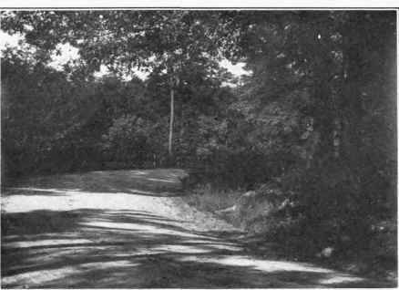 Illustration No. 37Print from Under Exposed and Correctly Developed Negative