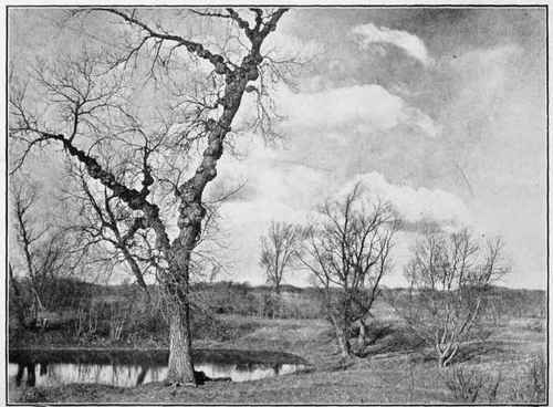 Illustration No. 42   See Paragraph No. 396