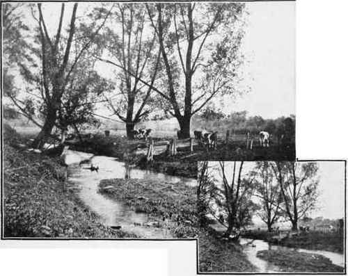 Illustration No. 7 Example of Enlarging See Paragraph No. 575
