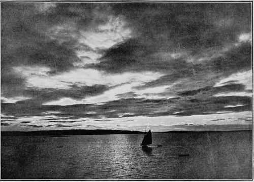MARINE Study No. 6 S. I. Carpenter
