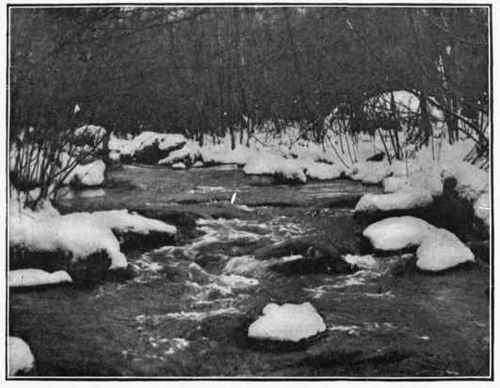SNOW SCENE Study No. 12 By S. L. Carpenter