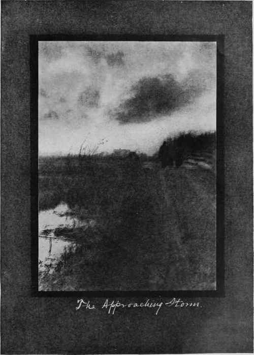 Study No. 12 See Page 386 By R. E. Weeks