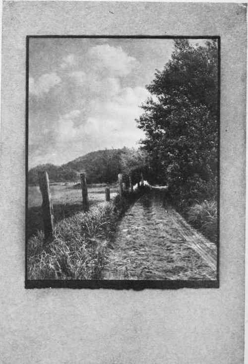 THE MEADOW ROAD Study No. 48 See Page 312 By J. R. Peterson