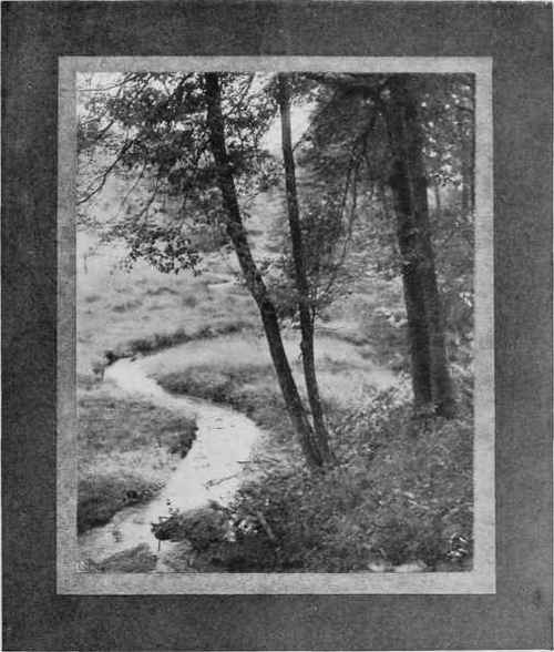 WHERE THE BROOK WINDS THROUGH THE MEADOW Study No. 4 By Wm. T. Knox