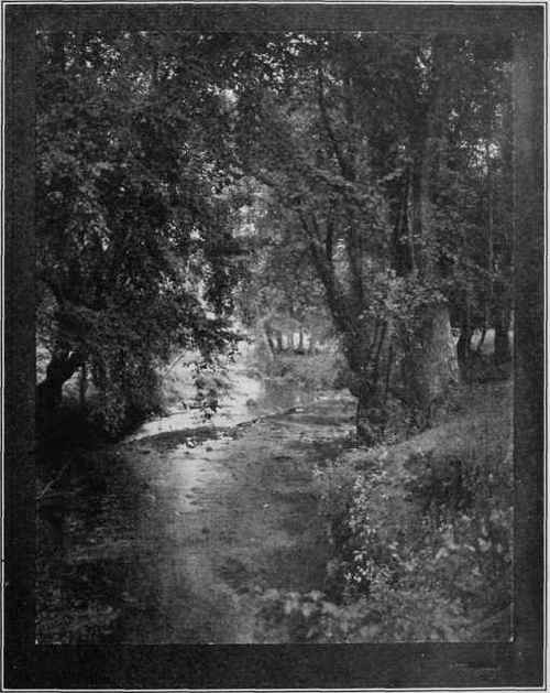 WOODLAND STREAM Study No. 19 By Wm. T. Knox