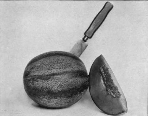 Eastman Focusing Cap For Enlarging Cameras StudioLightMagazine1915 219