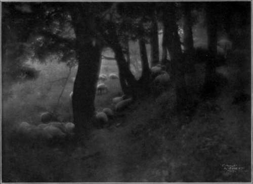 Eastman Portrait Films StudioLightMagazine1915 79
