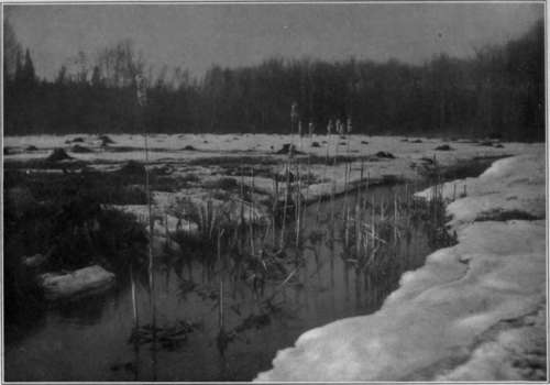Artura Carbon Black Our Illustrations StudioLightMagazine1916 265
