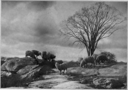 Speeding Up Your Production StudioLightMagazine1916 255