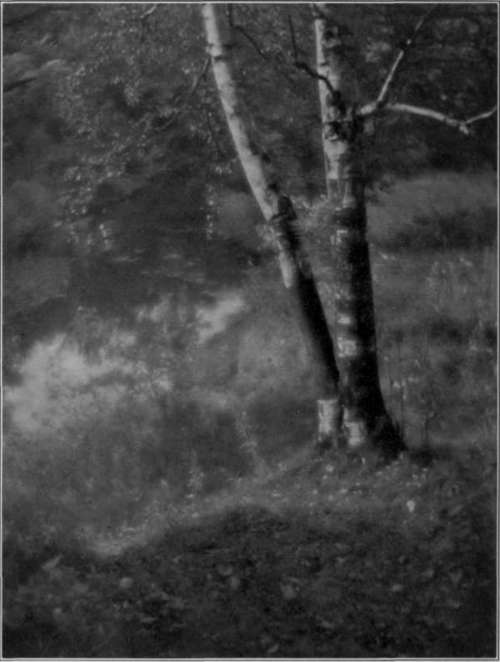 Artura Iris Print, From Eastman Portrait Film Negative.