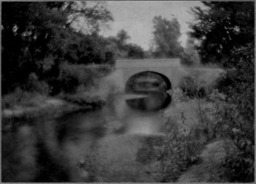 Artura Iris Print, From Eastman Portrait Film Negative.