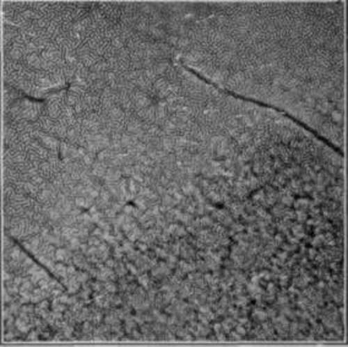 Reticulation Or Frilling Of Negatives StudioLightMagazine1918 168
