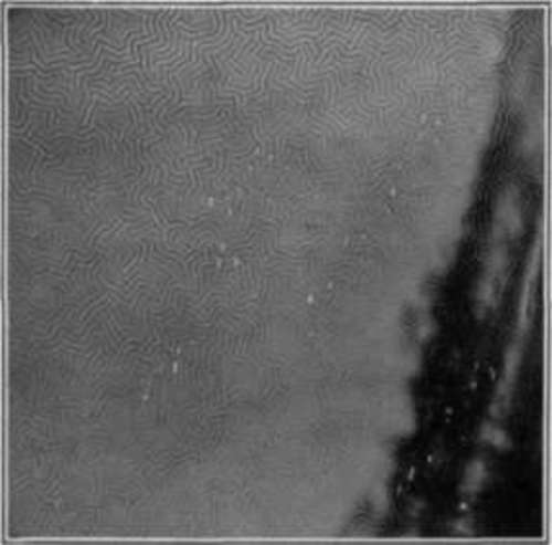 Reticulation Or Frilling Of Negatives StudioLightMagazine1918 166