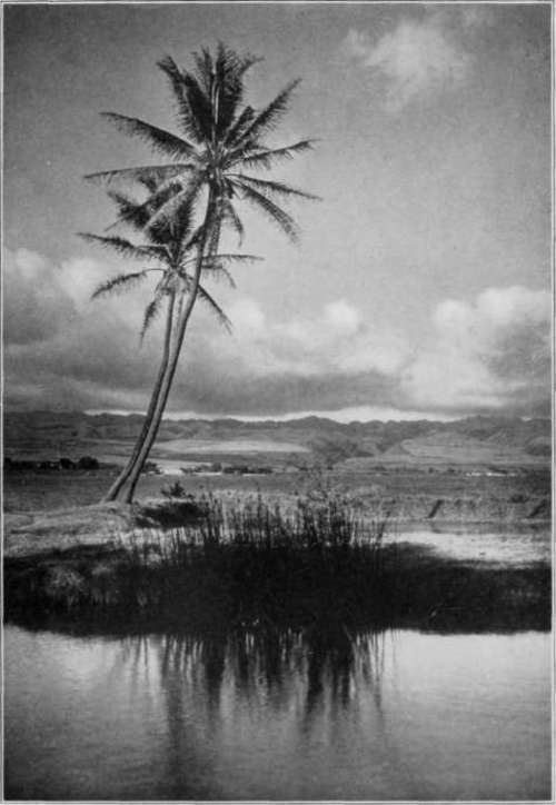 Make Your Advertising Break Into Society StudioLightMagazine1923 18