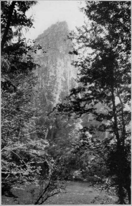 Our Illustrations From Film Negatives StudioLightMagazine1923 48