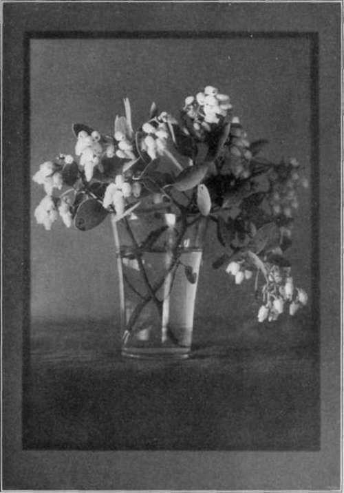 The Photographer One Seldom Hears About StudioLightMagazine1923 152