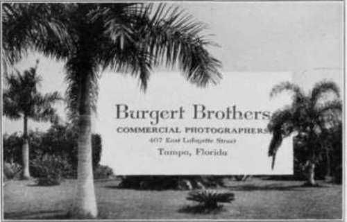 Use Photographs To Advertise Photography StudioLightMagazine1923 236