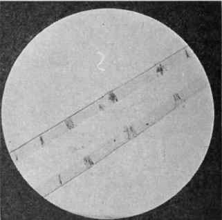 Fibers And Their Production 8