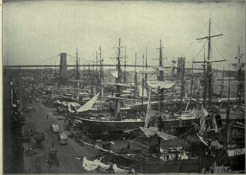 THE WEALTH OF COMMERCE