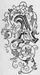 Roman And Brush Letter Alphabets Brush Letters For 611