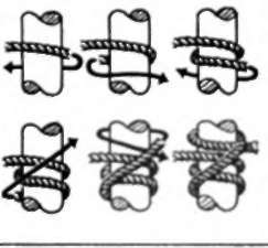 BOWLINE ON A BIGHT
