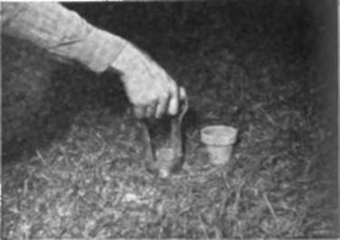 Home Made Outdoor Games