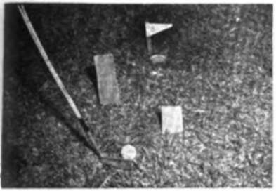 Place a numbered flag at each golf hole