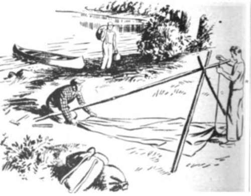 The tarpaulin