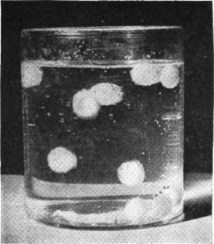 potassium chlorate