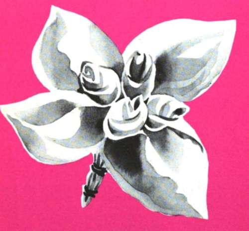 Rosebud Bouquet