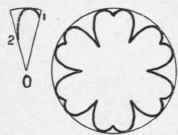 SIX LEAVED ROSETTES 100