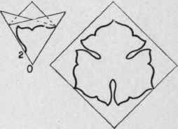 Three Leaved Rosettes 91