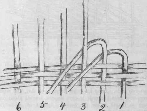 Border VI. Detail No. 1.