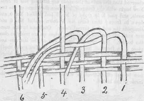 Border VI. Detail No. 2.