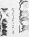 Fig. 11.   Lines suggesting convexity.