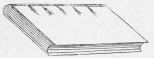 Fig. 12. Rounded back.