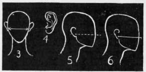 Figs. 3, 4, 5, 6. First Measurements.