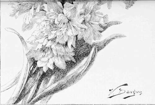 No. 9 Daffodils