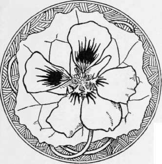 XIII Guelder Roses 173